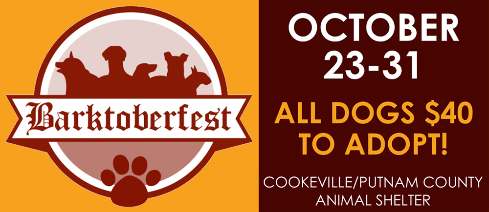 Animal Shelter Barktober Fest PSA Public Billboard Message