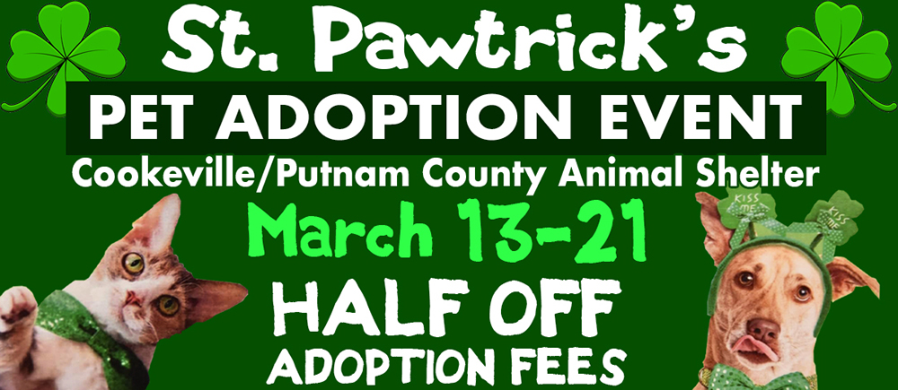 Animal Shelter St Pats (1) PSA Public Billboard Message