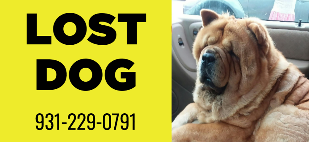 Lost Dog PSA Public Billboard Message