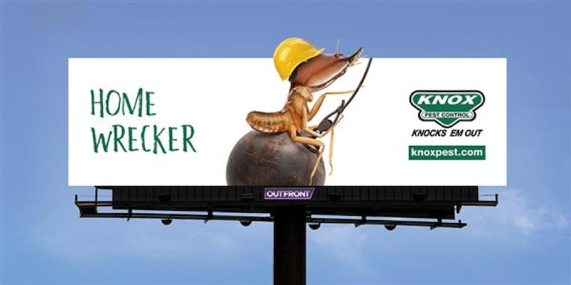 knox pest billboard