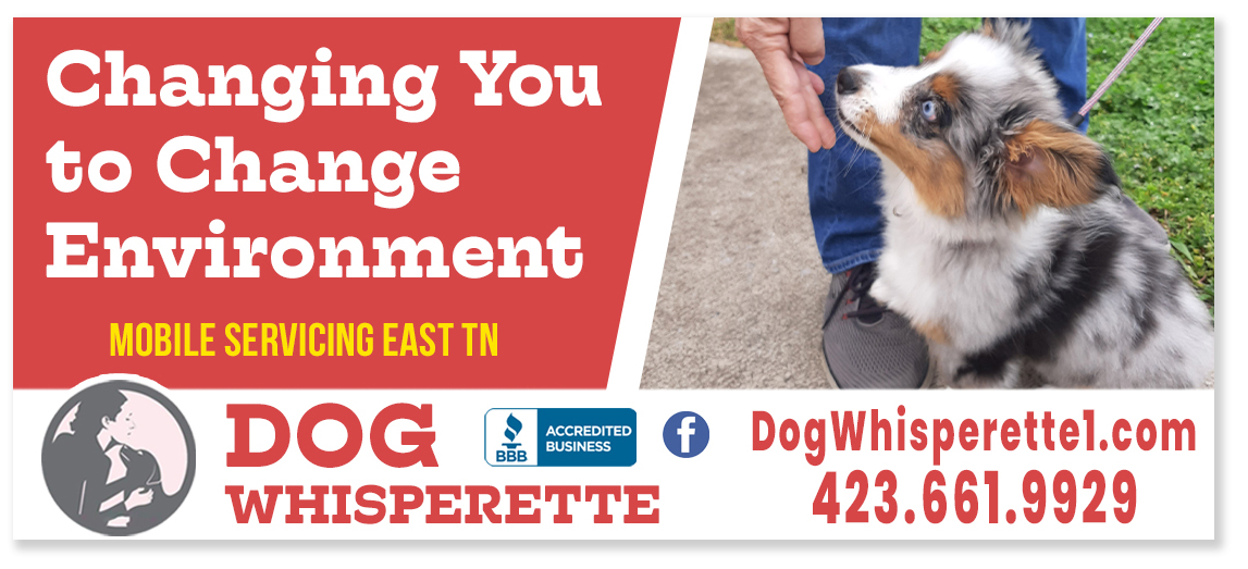 Unique Dog Whisperette Billboard