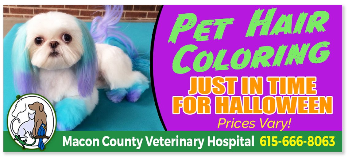 Pet Hair Color Billboard