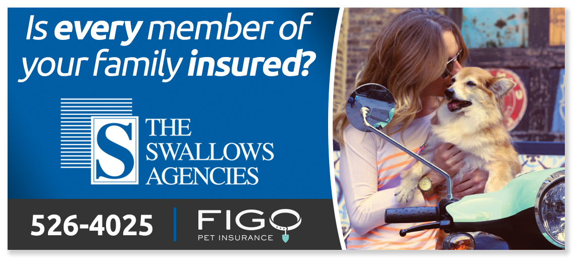 Pet Insurance Billboard