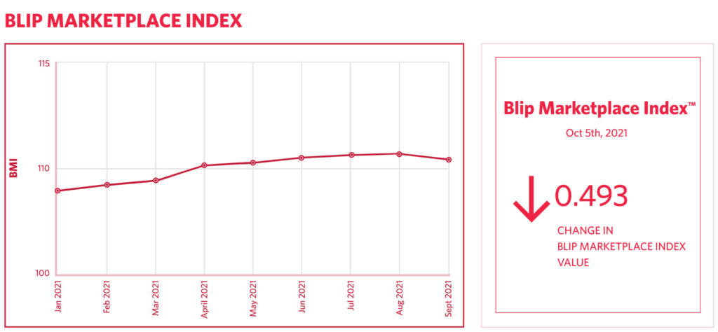 Blip Marketplace Index analyzes