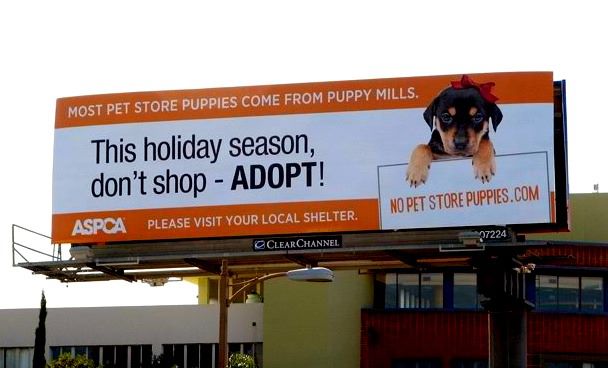 Animal Shelter Billboard