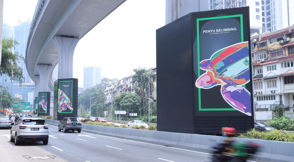 Turtle BIllboard