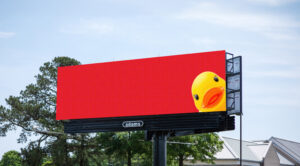 DuckTease