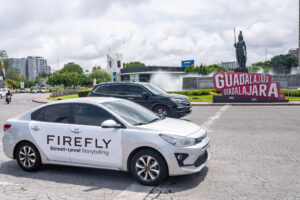 Firefly in Guadalajara